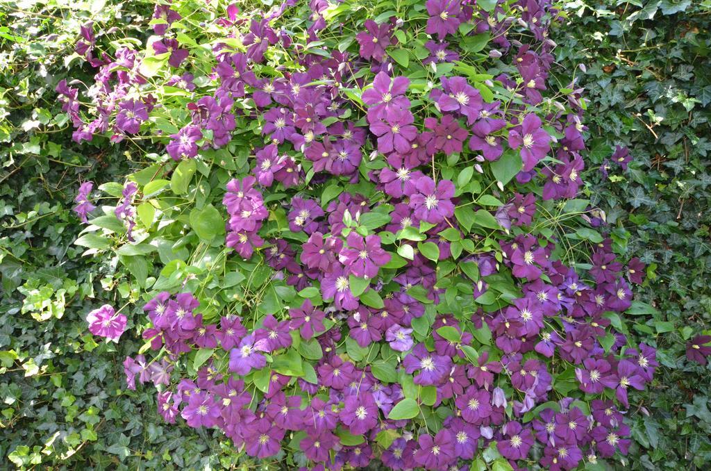 Bloemenhoeve Bed and Breakfast Birdaard Exteriör bild